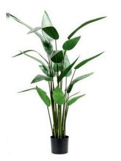 Árbol Heliconia: ¿Qué hacemos? de Ches Pa, S.L. Árbol Heliconia: ¿Qué hacemos? de Ches Pa, S.L.