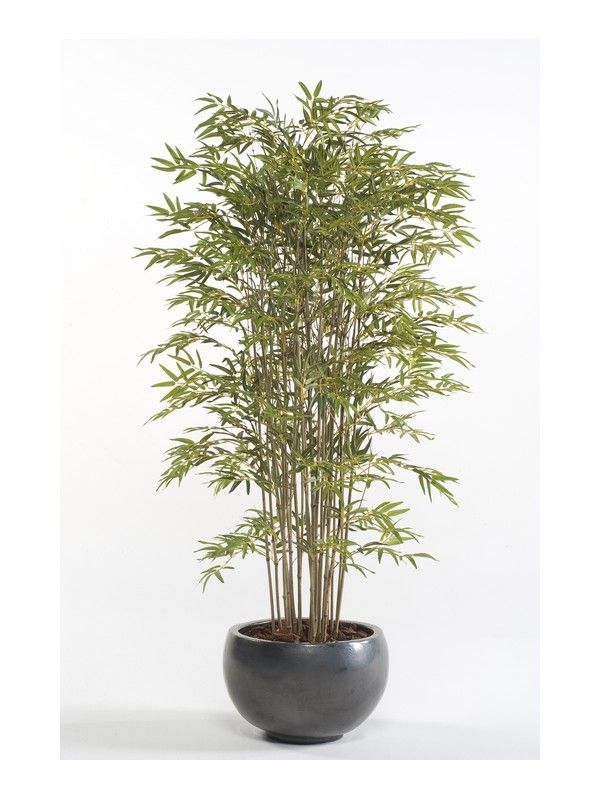 Árbol bambú acabado Deluxe: ¿Qué hacemos? de Ches Pa, S.L. Árbol bambú acabado Deluxe: ¿Qué hacemos? de Ches Pa, S.L.