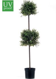 árbol boj doble bola árbol boj doble bola