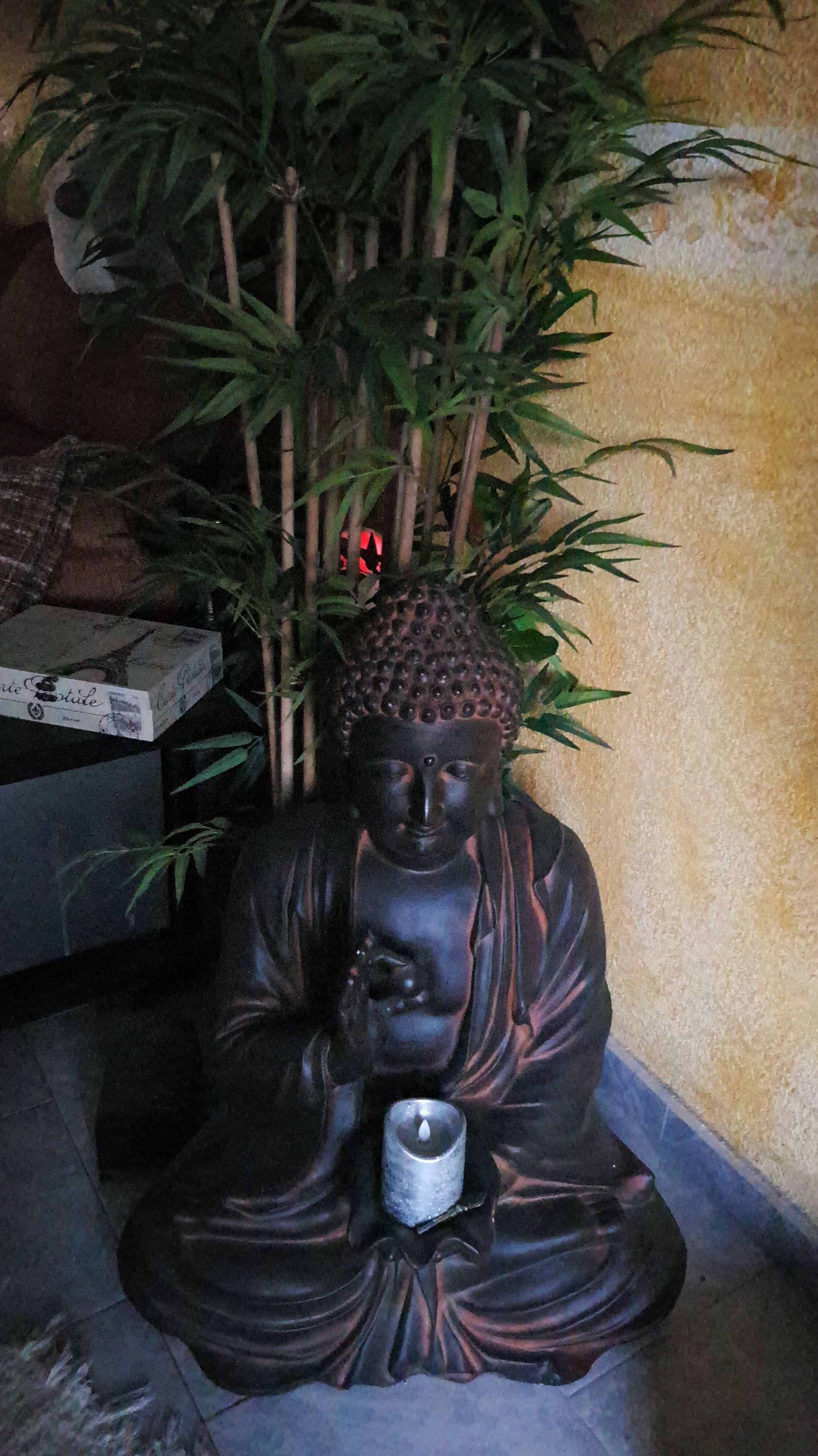 Disponemos de Budas consultar