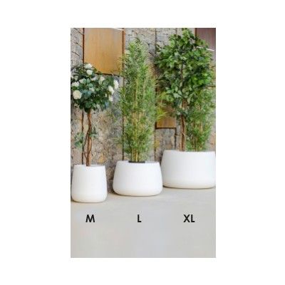 Jardinera Decoluxe: ¿Qué hacemos? de Ches Pa, S.L. Jardinera Decoluxe: ¿Qué hacemos? de Ches Pa, S.L.