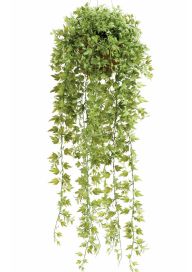 Planta decorativa techo 10.815C: ¿Qué hacemos? de Ches Pa, S.L. Planta decorativa techo 10.815C: ¿Qué hacemos? de Ches Pa, S.L.