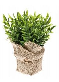 Arbusto ruscus artificial Valencia Arbusto ruscus artificial Valencia