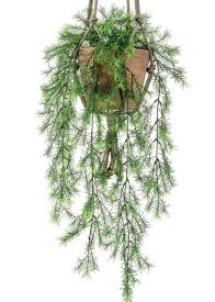 Planta decorativa techo 420807: ¿Qué hacemos? de Ches Pa, S.L. Planta decorativa techo 420807: ¿Qué hacemos? de Ches Pa, S.L.