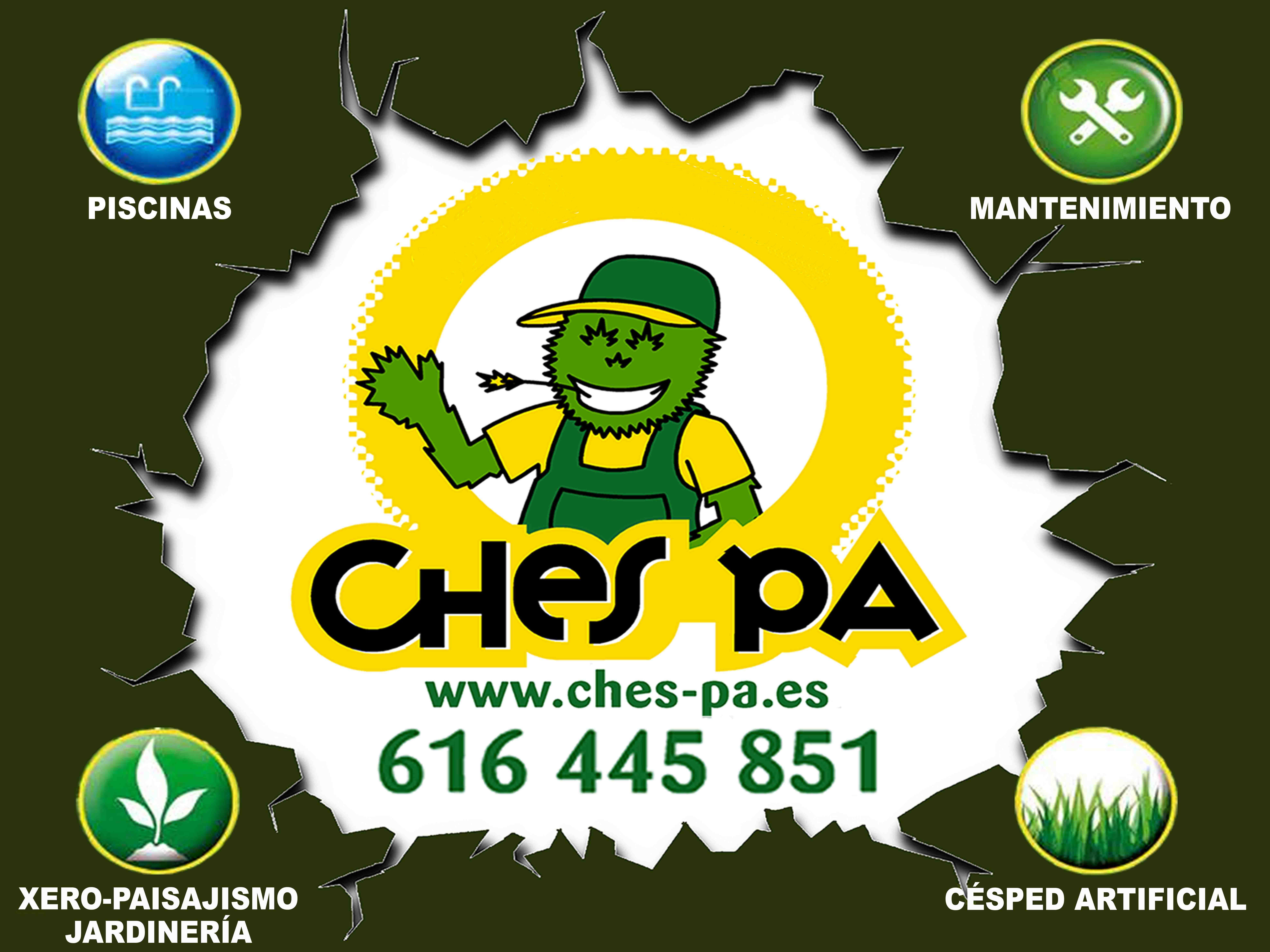 NUESTROS SERVICIOS NUESTROS SERVICIOS