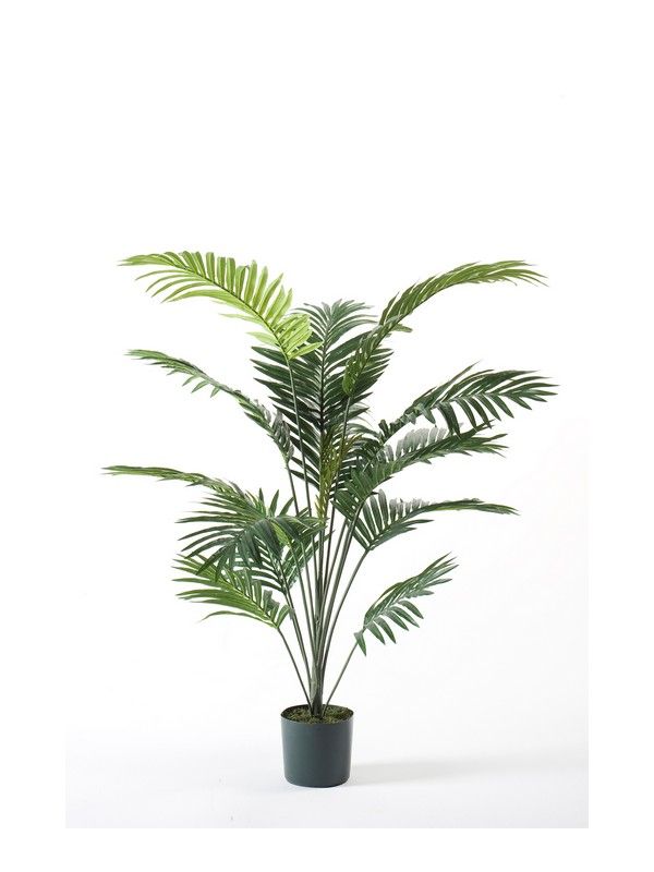 Árbol Palmera Deluxe: ¿Qué hacemos? de Ches Pa, S.L. Árbol Palmera Deluxe: ¿Qué hacemos? de Ches Pa, S.L.