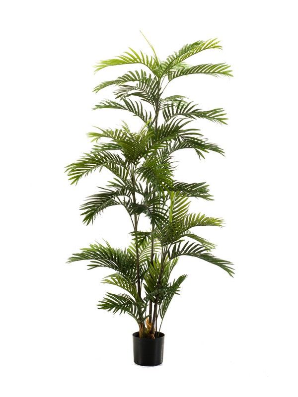 Árbol Palmera Eco: ¿Qué hacemos? de Ches Pa, S.L. Árbol Palmera Eco: ¿Qué hacemos? de Ches Pa, S.L.
