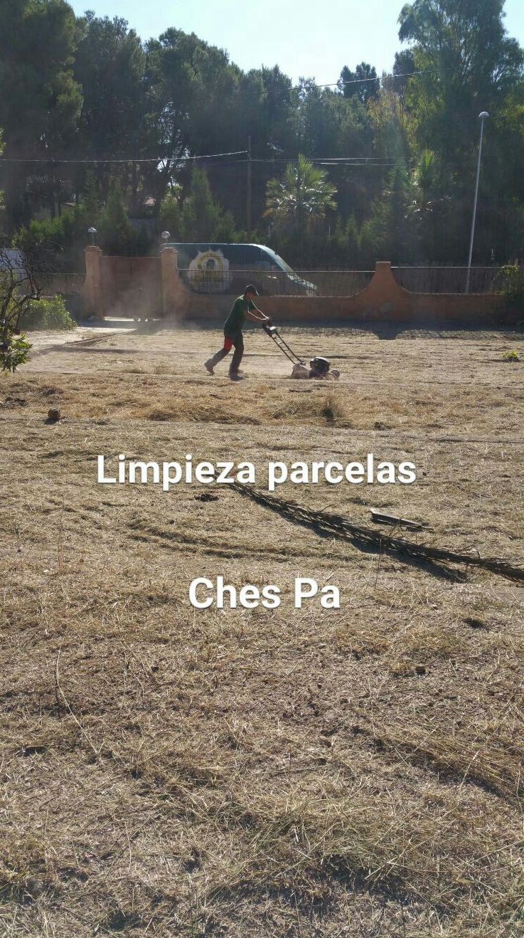 Limpieza parcelas Ches Pa Limpieza parcelas Ches Pa