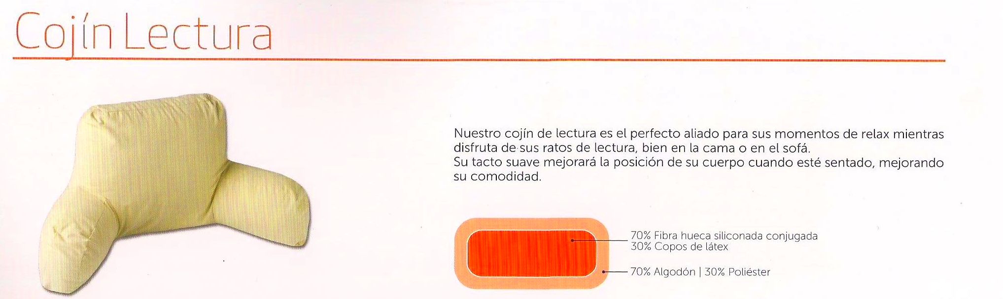 Cojin Lectura Cojin Lectura