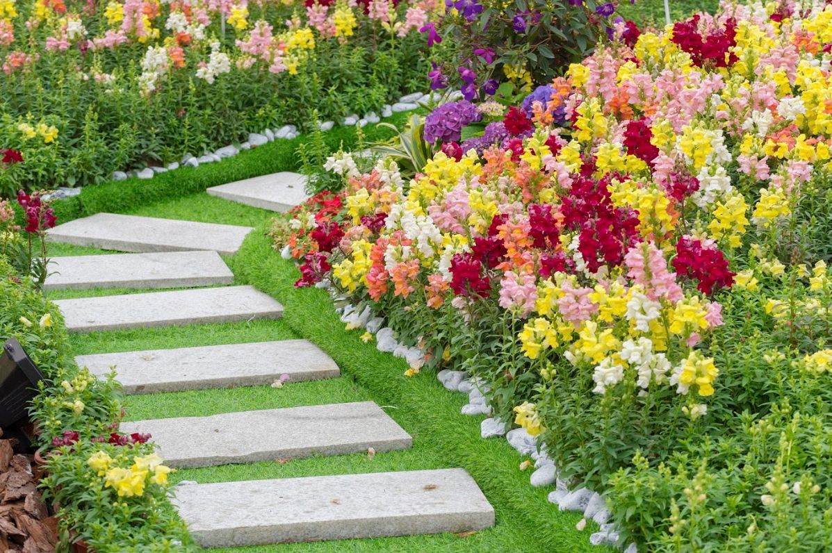 Jardinería: Productos y servicios de Darolimp Limpiezas y Servicios Jardinería: Productos y servicios de Darolimp Limpiezas y Servicios