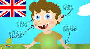 Cursos para los más pequeños ( Young Learners ): Catálogo de Piccadilly Idiomas Cursos para los más pequeños ( Young Learners ): Catálogo de Piccadilly Idiomas