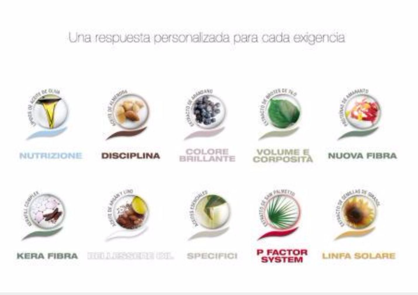ACTYVA: Tratamientos y productos de Milandco Peluqueros ACTYVA: Tratamientos y productos de Milandco Peluqueros