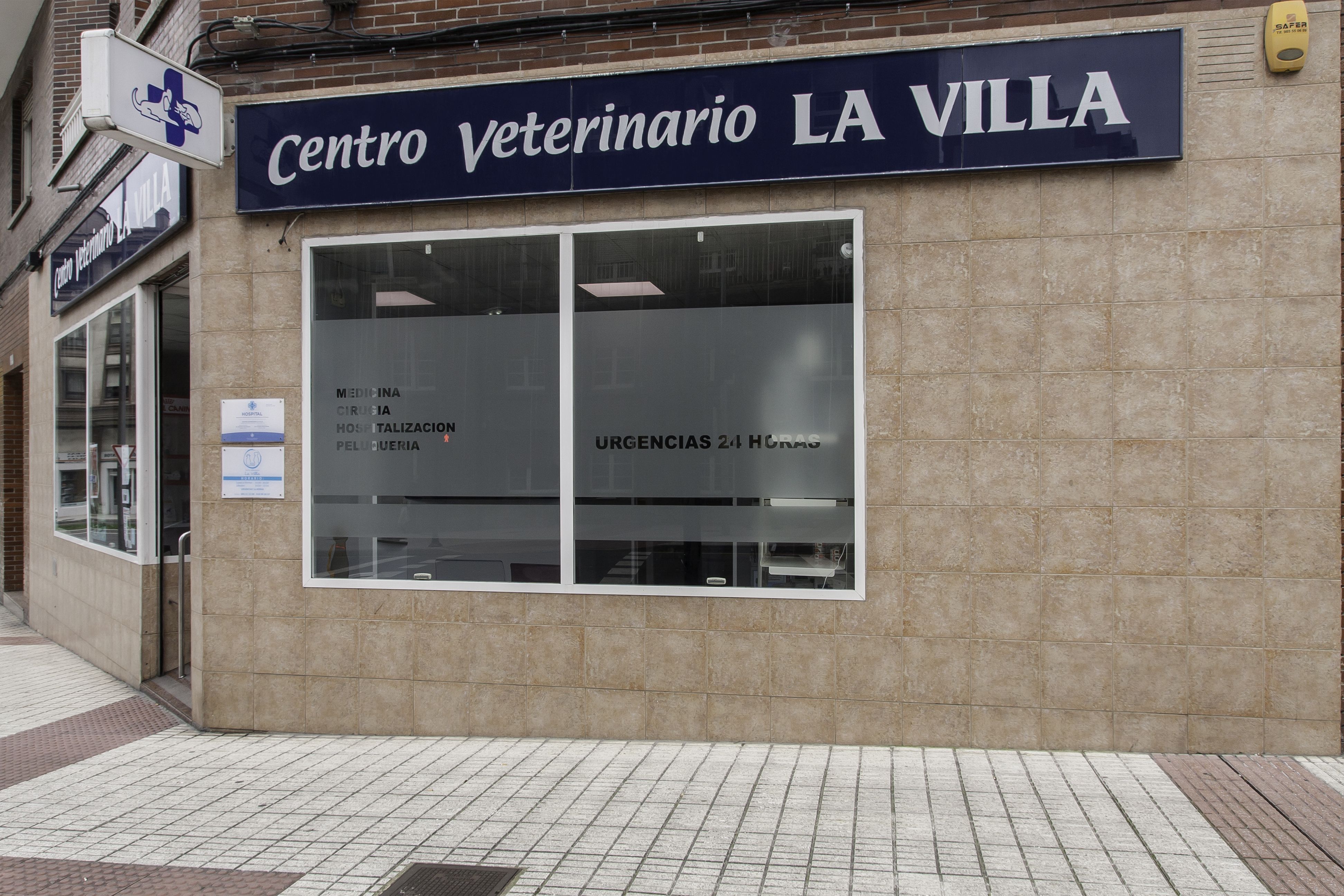 Foto 6 de Veterinarios en Avilés | Centro Veterinario La Villa