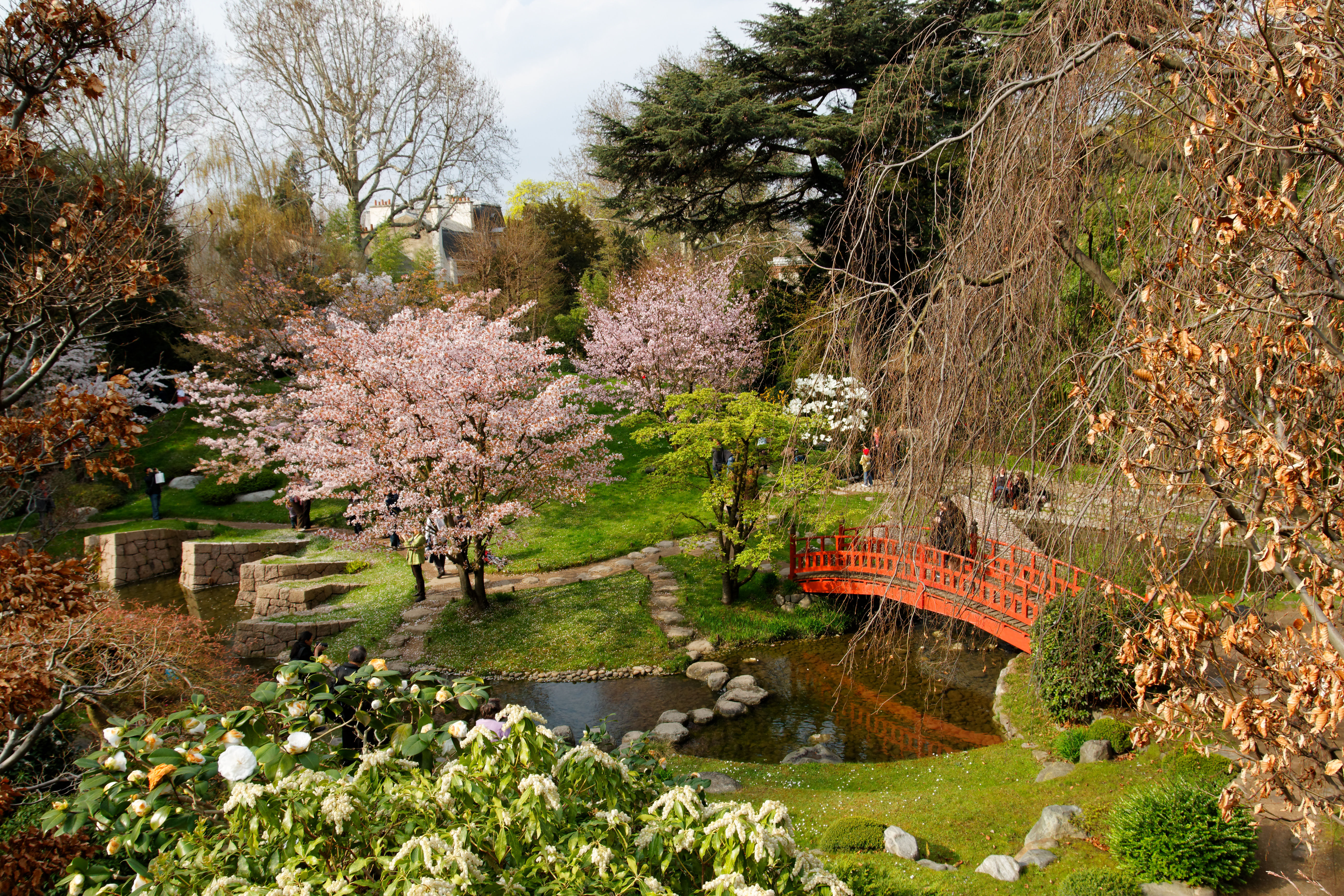 Diseño de jardines: Jardinería de Jardinería y Poda Mariano García Diseño de jardines: Jardinería de Jardinería y Poda Mariano García