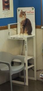 4.- Cat waiting area
