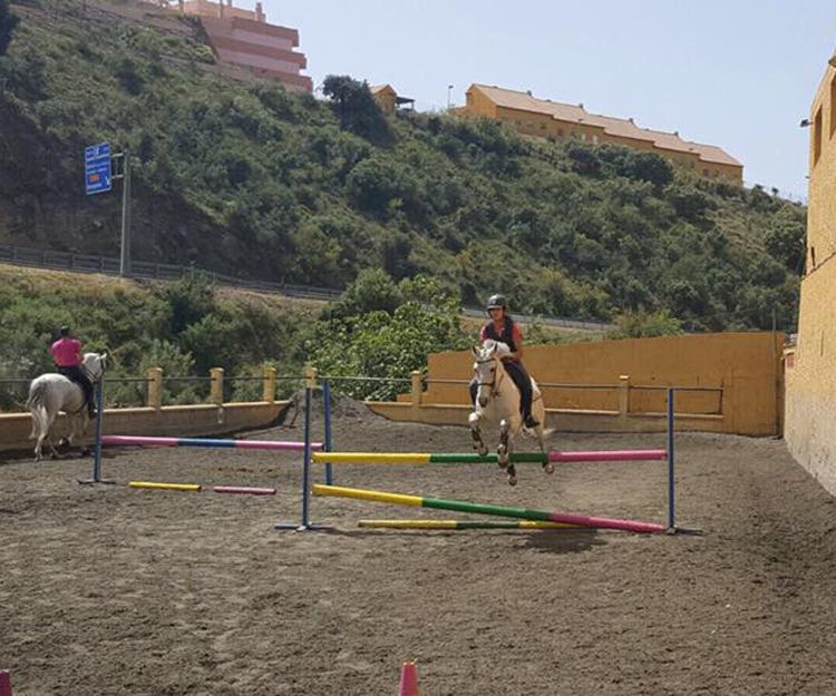 Cursos de equitación en Málaga