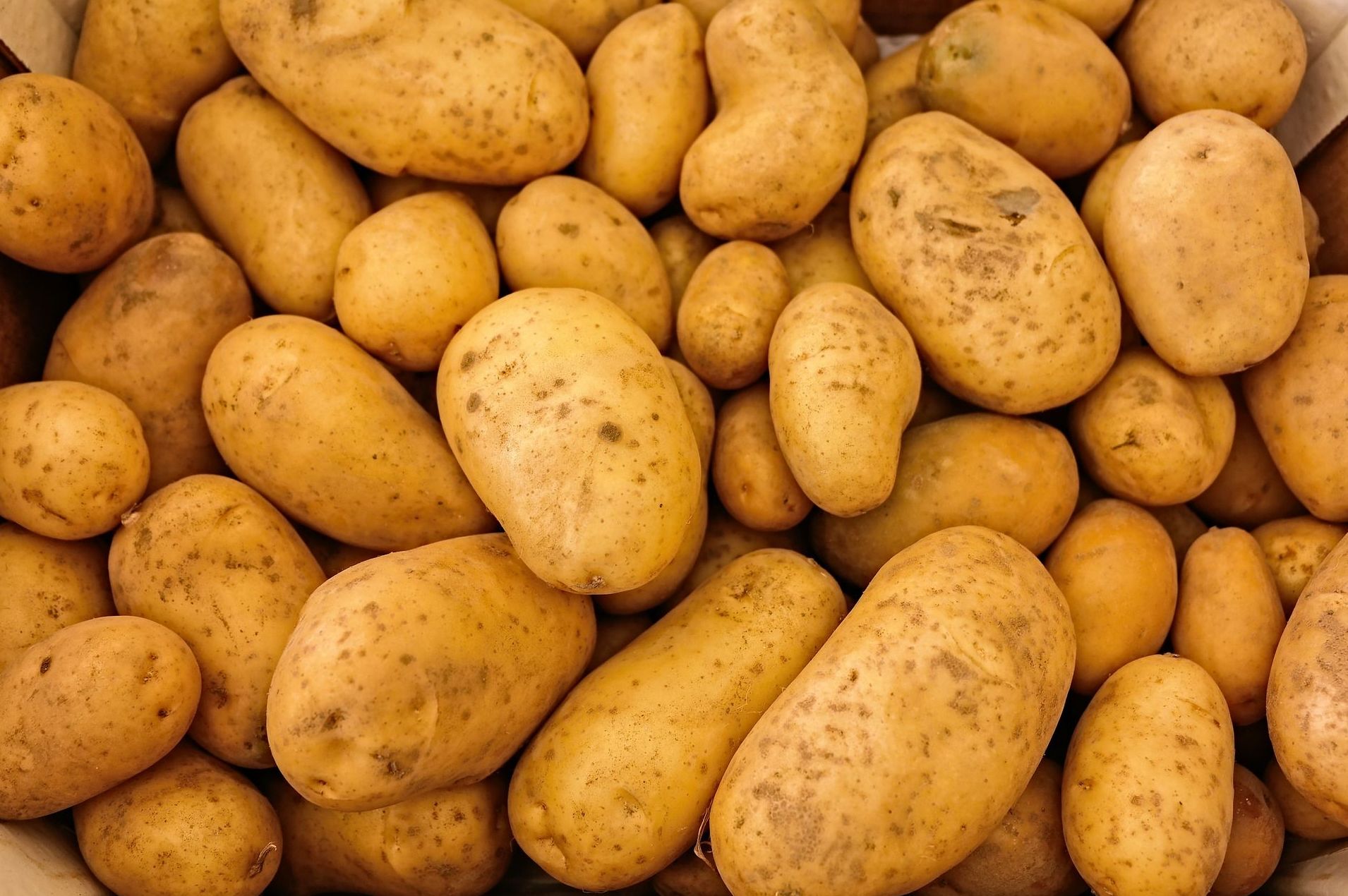 Mayorista de patatas en el País Vasco
