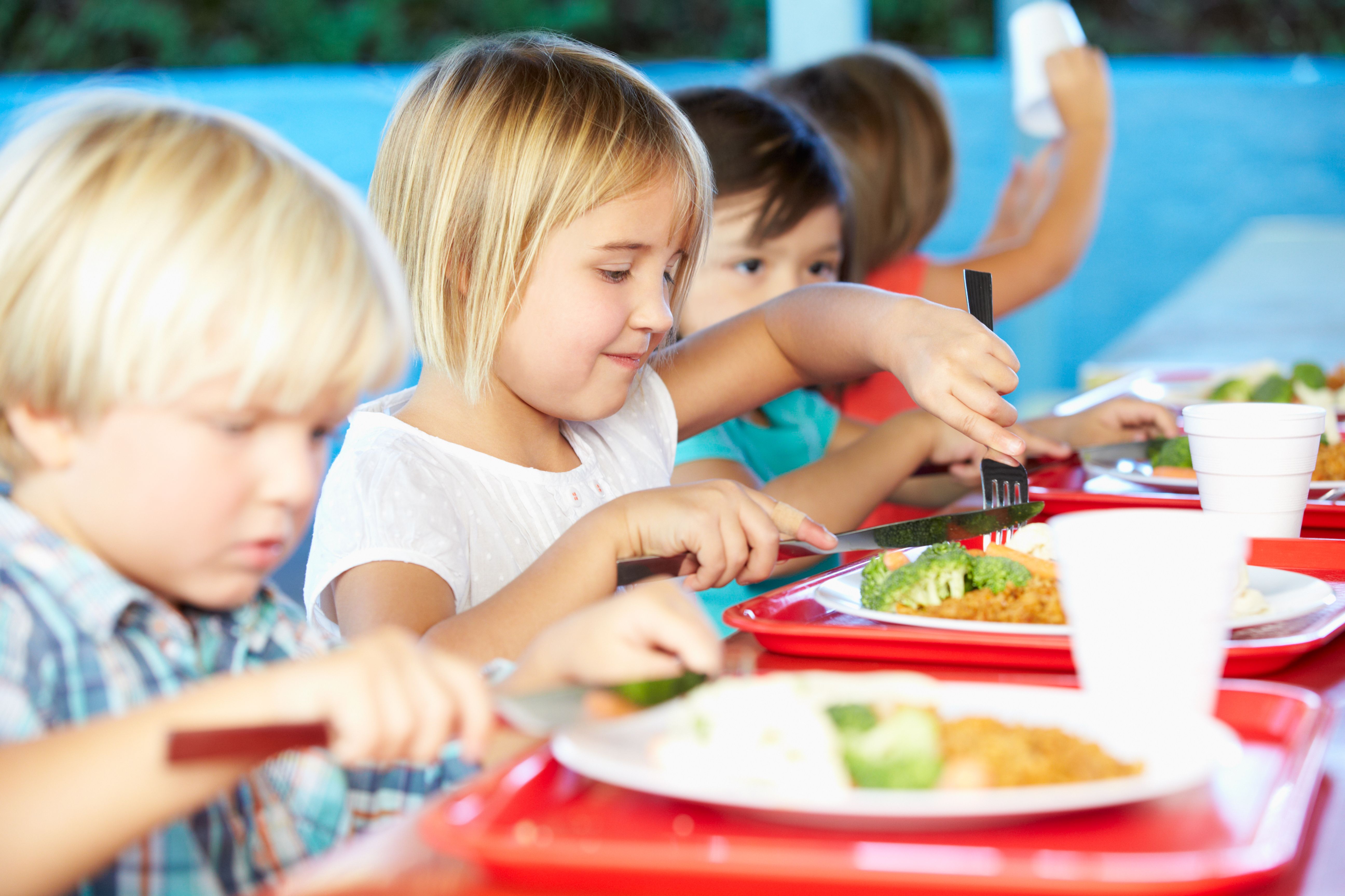 Comedor: Servicios de Escuela Infantil La Cotorrera Comedor: Servicios de Escuela Infantil La Cotorrera