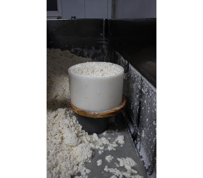 Elaboración y venta de queso artesano cabrales en Asturias