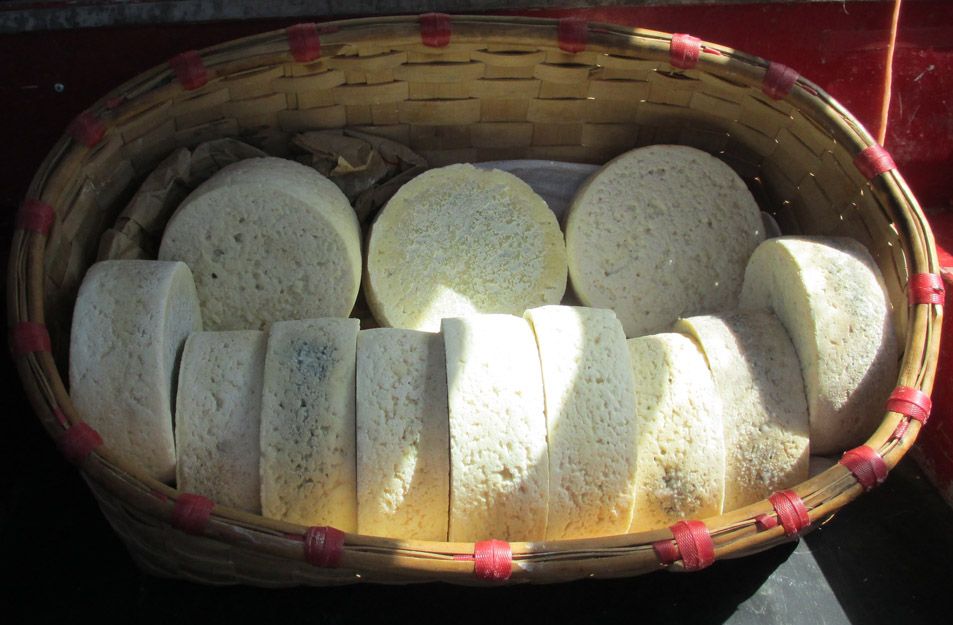 Elaboración de forma artesanal de queso cabrales en Asturias