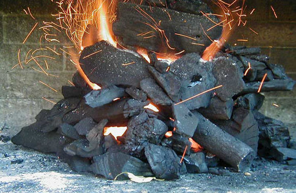 Especialistas en la venta de carbón vegetal  