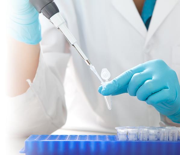 Analítica: Productos y Servicios de Adesa Asesoría Analítica: Productos y Servicios de Adesa Asesoría