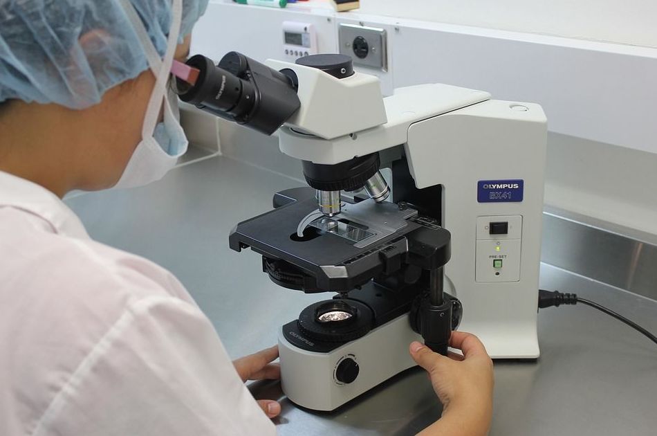 Analítica: Productos y Servicios de Adesa Asesoría Analítica: Productos y Servicios de Adesa Asesoría