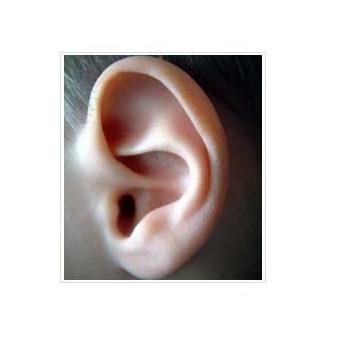 Otoplastia: Técnicas de Clínica de Otorrinolaringología Otoplastia: Técnicas de Clínica de Otorrinolaringología