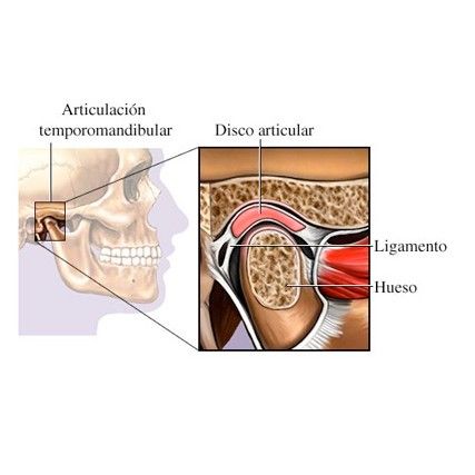 ATM: Servicios de Alser Dental ATM: Servicios de Alser Dental