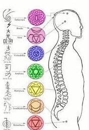 EQUIVALENCIA CHAKRAS Y ORGANOS EQUIVALENCIA CHAKRAS Y ORGANOS