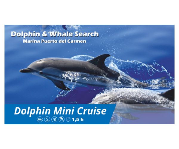 Mini Dolphin Cruise: Excursions de Lanzarote Sea Tours Mini Dolphin Cruise: Excursions de Lanzarote Sea Tours