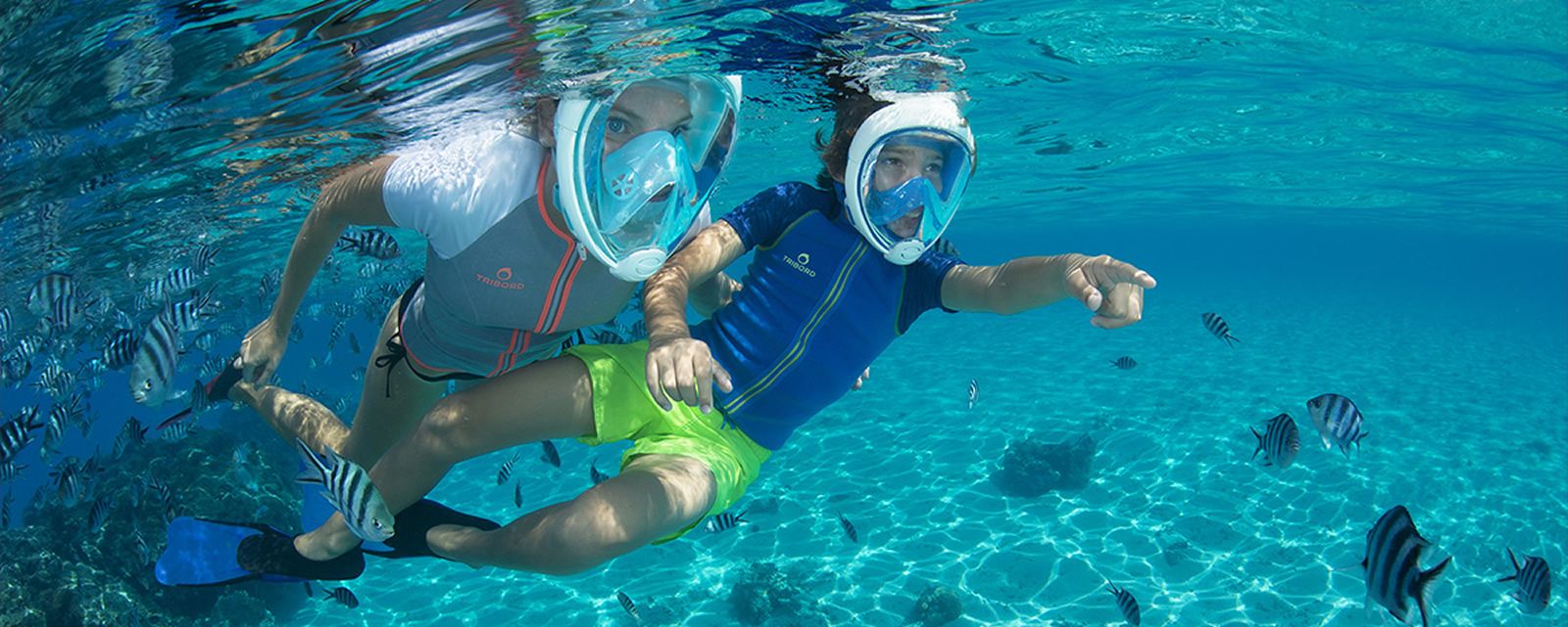 Mini Dolphin Cruise: Excursions de Lanzarote Sea Tours Mini Dolphin Cruise: Excursions de Lanzarote Sea Tours