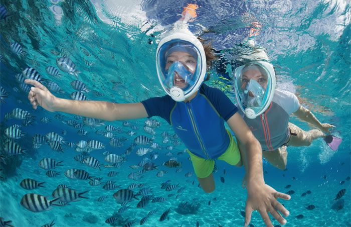 Mini Dolphin Cruise: Excursions de Lanzarote Sea Tours Mini Dolphin Cruise: Excursions de Lanzarote Sea Tours