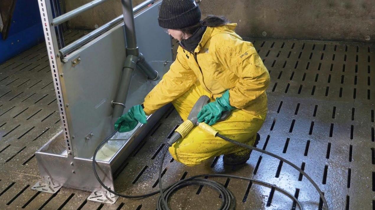 Ganadería: Servicios de Sircrop Ganadería: Servicios de Sircrop