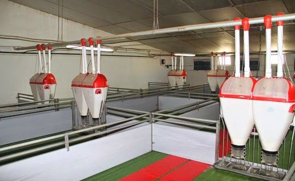 Ganadería: Servicios de Sircrop Ganadería: Servicios de Sircrop
