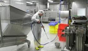 Industria alimentaria: Servicios de Sircrop Industria alimentaria: Servicios de Sircrop