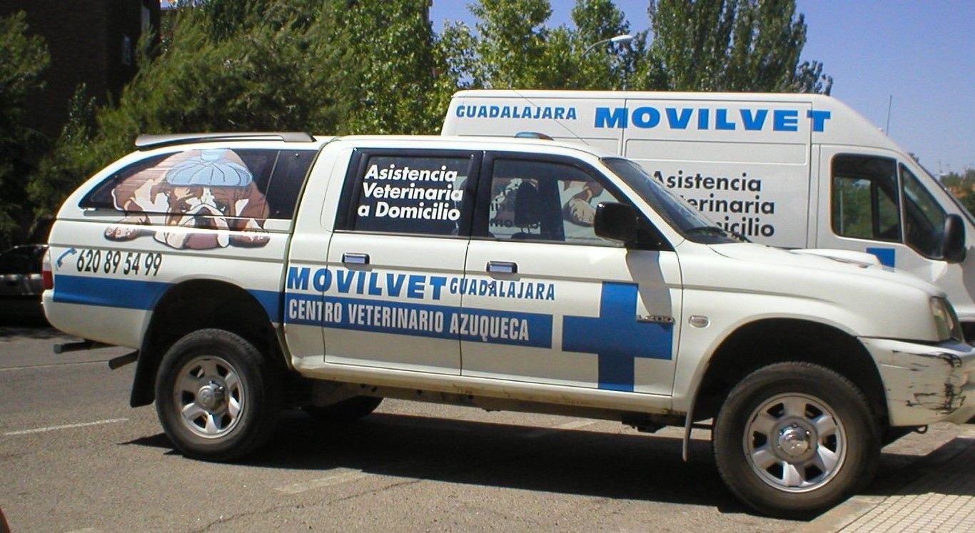 Veterinario a domicilio en Azuqueca de Henares