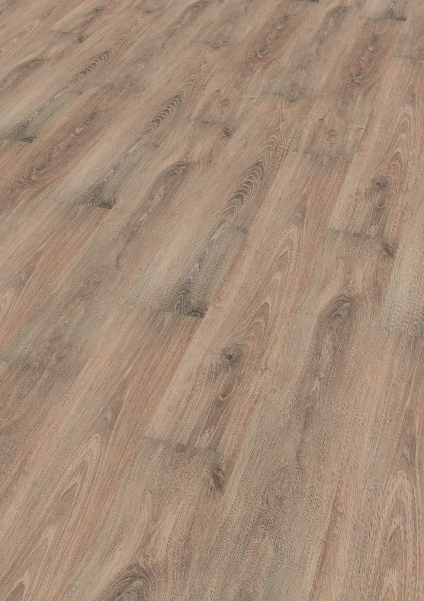 Suelo Laminado Purefloor Roble River: Productos y servicios de Maderas Fernández Garrido Suelo Laminado Purefloor Roble River: Productos y servicios de Maderas Fernández Garrido