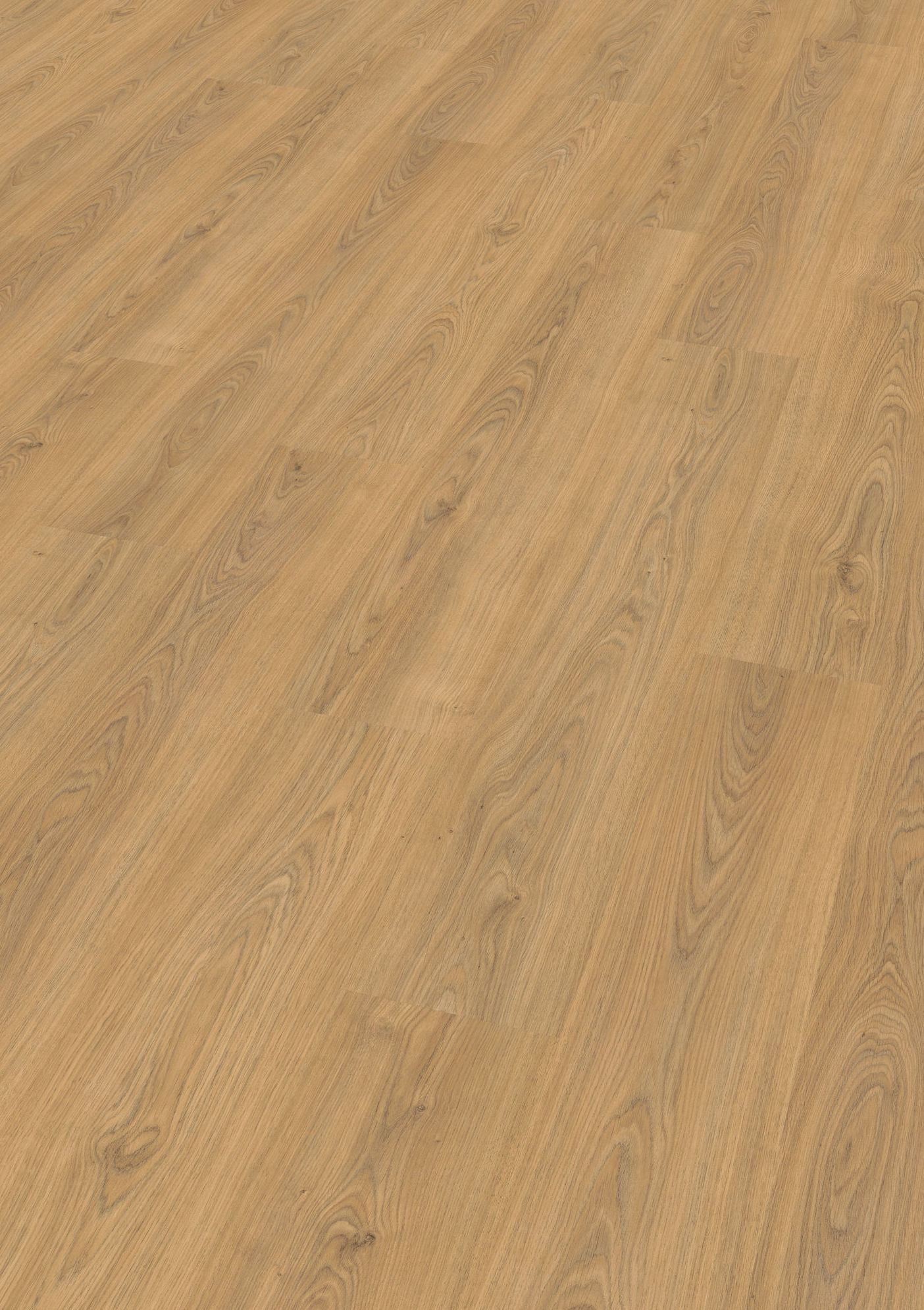 Suelo Laminado Purefloor Roble Condor: Productos y servicios de Maderas Fernández Garrido Suelo Laminado Purefloor Roble Condor: Productos y servicios de Maderas Fernández Garrido