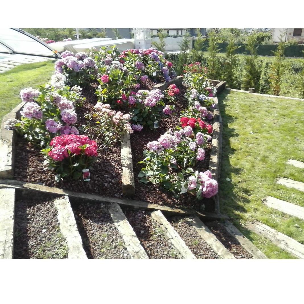 Servicios: Diseños de jardines de Espacios verdes del Norte Servicios: Diseños de jardines de Espacios verdes del Norte