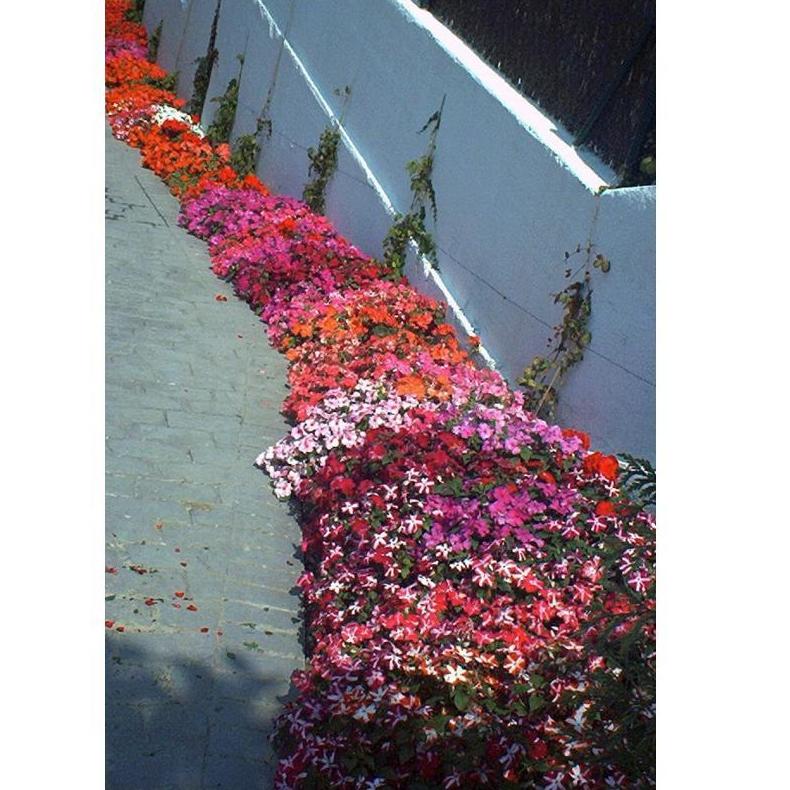 Servicios: Diseños de jardines de Espacios verdes del Norte Servicios: Diseños de jardines de Espacios verdes del Norte