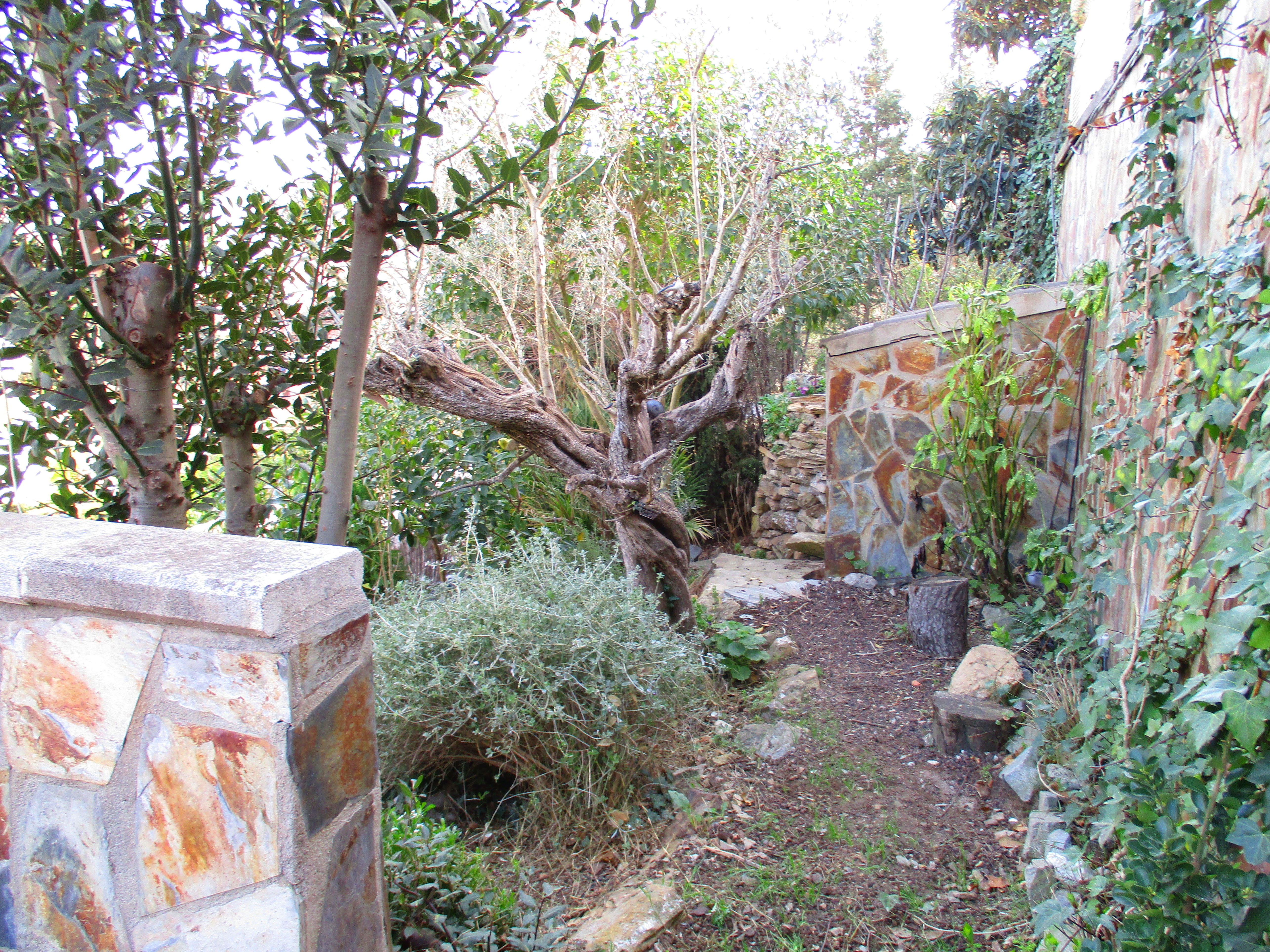 Casa en venta en el centro de torrellas de llobregat: Servicios de JG FInques i Gestió Casa en venta en el centro de torrellas de llobregat: Servicios de JG FInques i Gestió