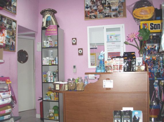 Venta de accesorios: Servicios de Clínica Veterinaria Pirámides Venta de accesorios: Servicios de Clínica Veterinaria Pirámides