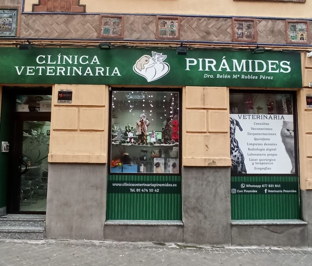 Clínica veterinaria en Arganzuela﻿