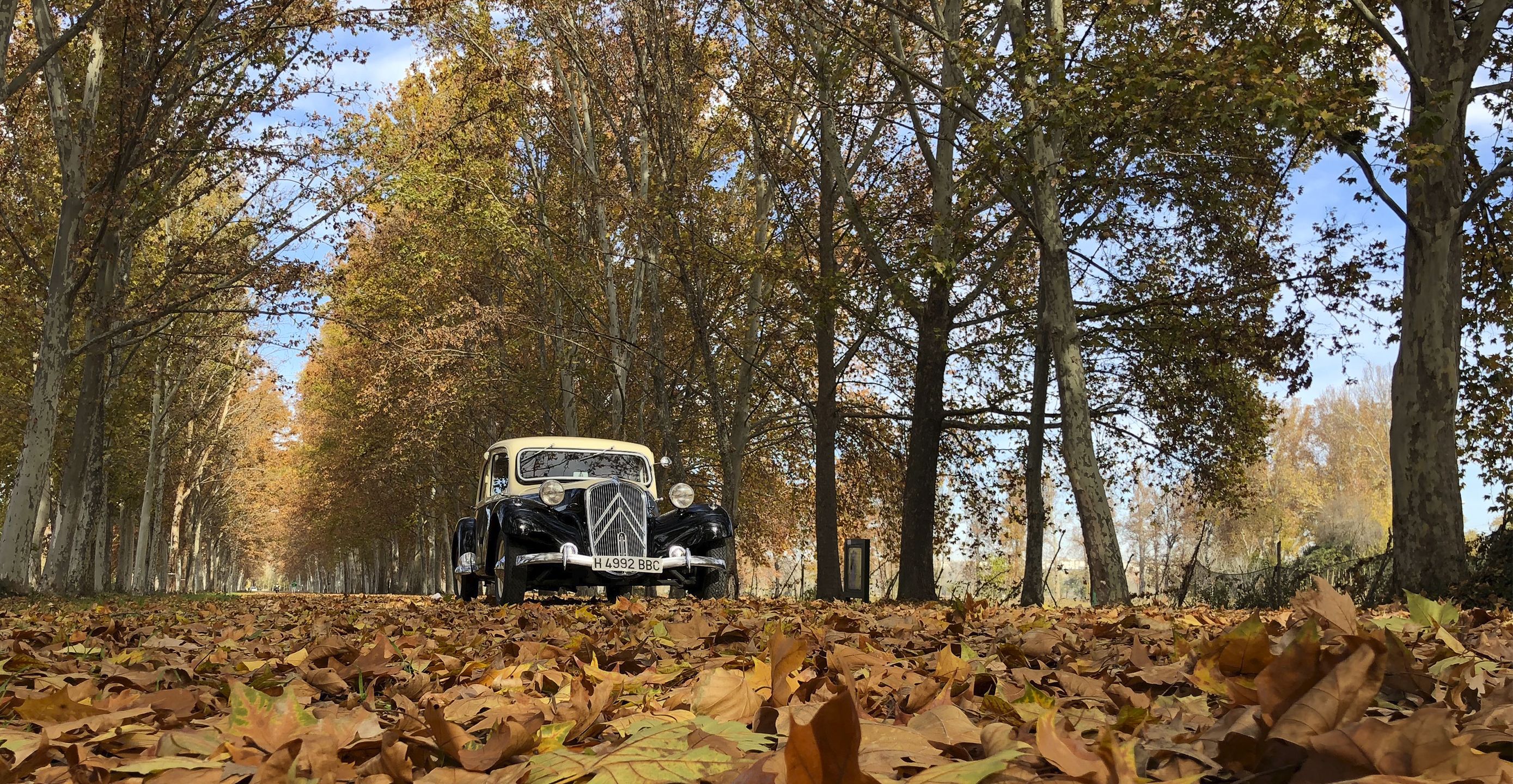 Citroën 11 B 1954: Vehículos de Iberocab Bodas Citroën 11 B 1954: Vehículos de Iberocab Bodas