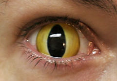 Lentes de contacto cosméticas: ¿Qué hacemos? de Centro Visión Cruces Lentes de contacto cosméticas: ¿Qué hacemos? de Centro Visión Cruces