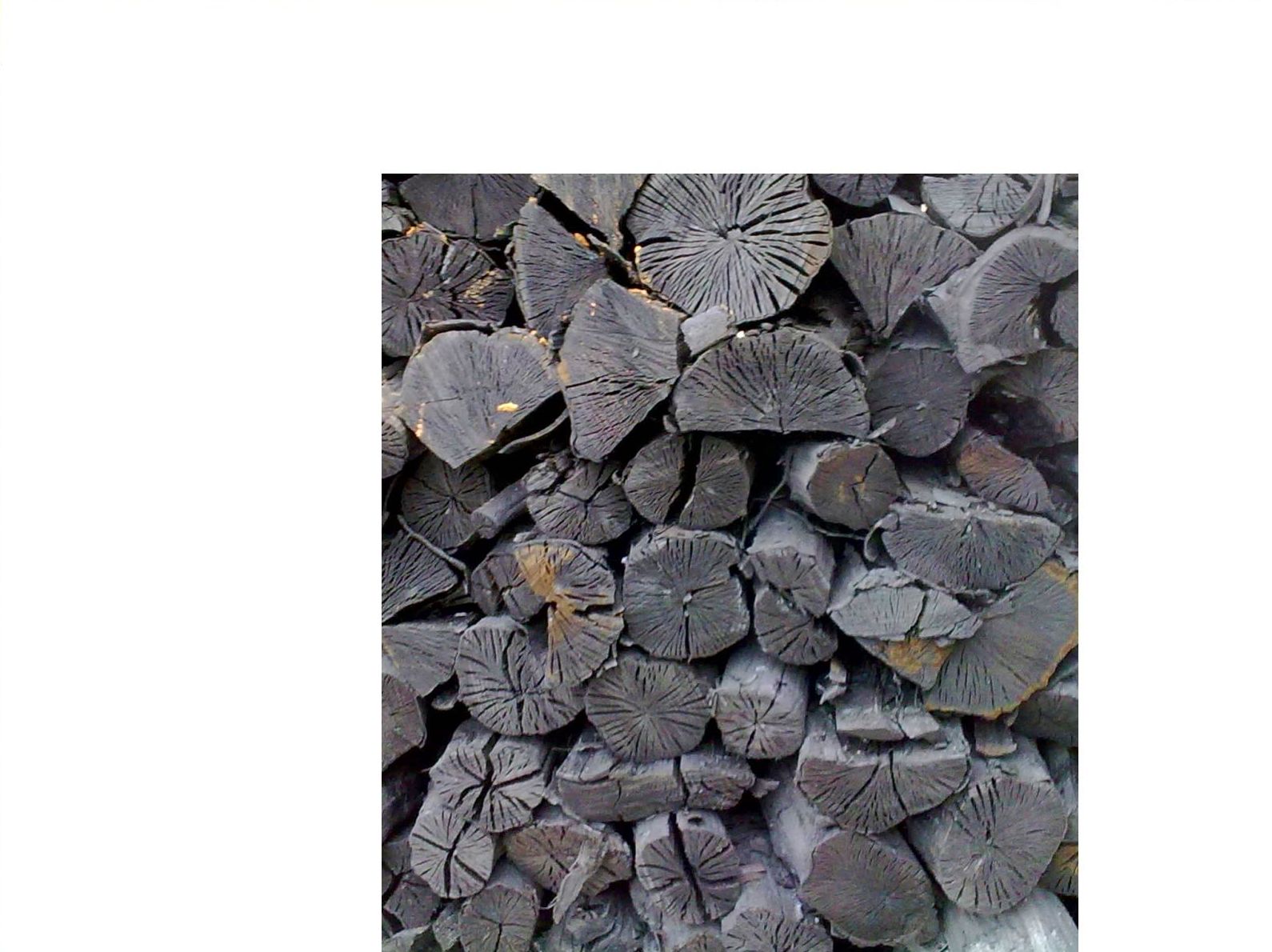 Carbón calidad: Productos y servicios de elcarbonero.es Carbón calidad: Productos y servicios de elcarbonero.es