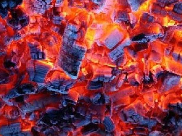 Carbón hostelería: Productos y servicios de elcarbonero.es Carbón hostelería: Productos y servicios de elcarbonero.es
