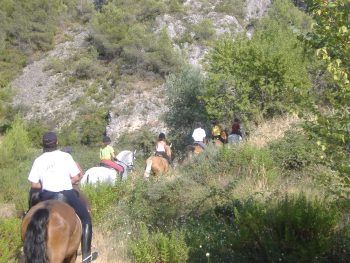 Excursiones: Servicios de Equitación Peluca Excursiones: Servicios de Equitación Peluca