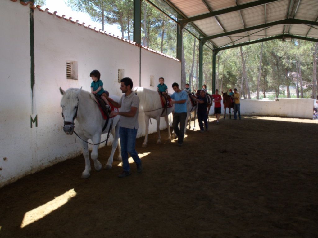 Visitas escolares: Servicios de Equitación Peluca Visitas escolares: Servicios de Equitación Peluca